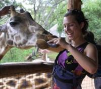 Wildlife of Nairobi